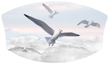 DNSWILL 101 WT Journey Home Clouds Birds White